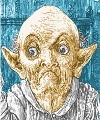 Profil-Bild