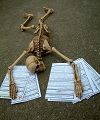 Profil-Bild
